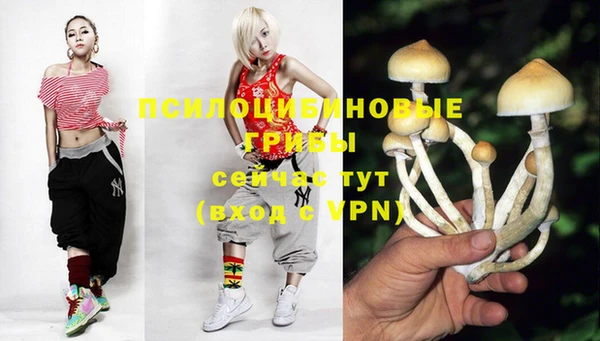 прущая мука Губаха