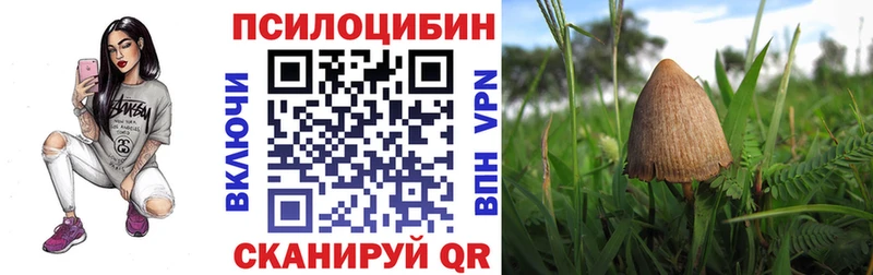 Галлюциногенные грибы MAGIC MUSHROOMS  нарко площадка как зайти  Льгов  как найти закладки 